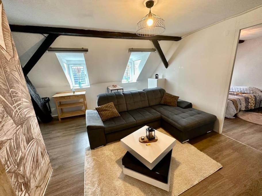 Logement Entier Au Coeur De Štrasburk Exteriér fotografie