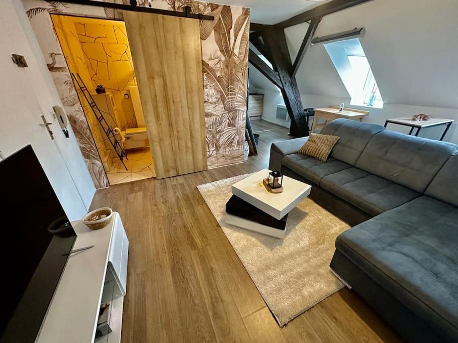 Logement Entier Au Coeur De Štrasburk Exteriér fotografie